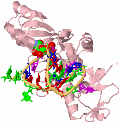 Image Biological Unit 3