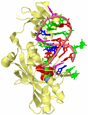 Image Biological Unit 4