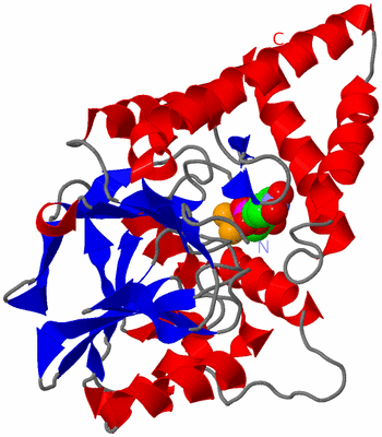 Image Asym./Biol. Unit