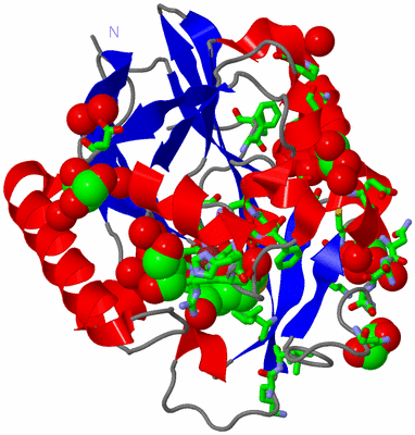 Image Asym./Biol. Unit - sites