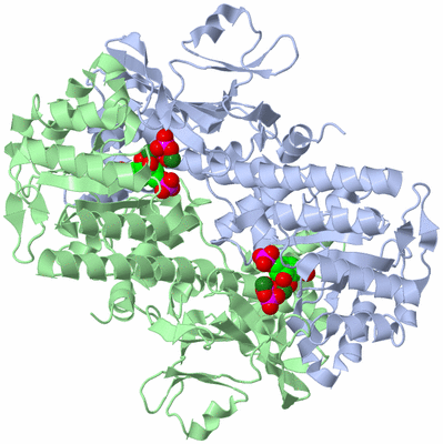 Image Asym./Biol. Unit