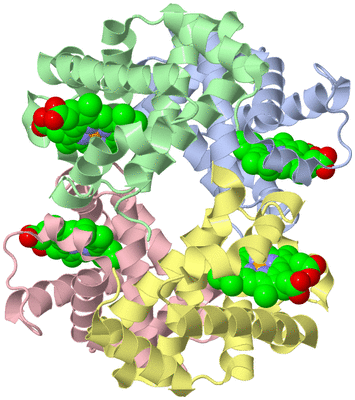 Image Biological Unit 1