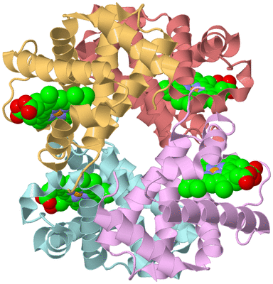 Image Biological Unit 2