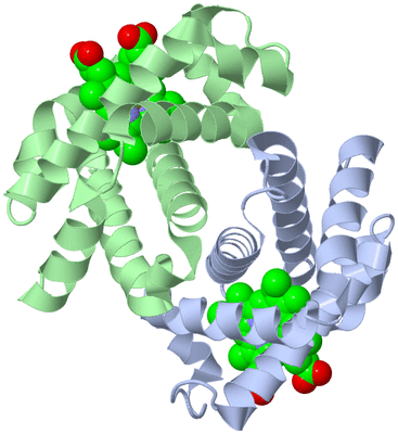 Image Biological Unit 3