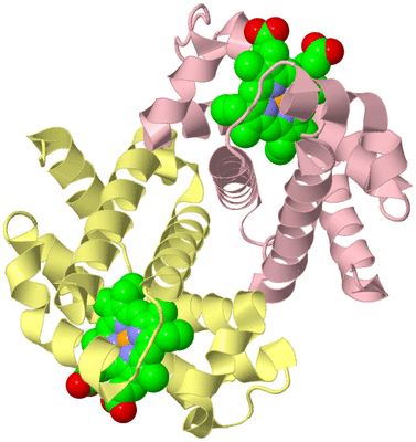 Image Biological Unit 4