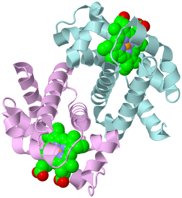 Image Biological Unit 5