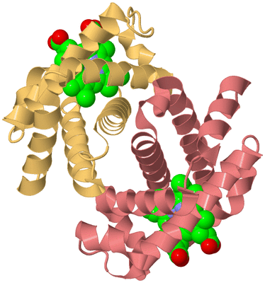 Image Biological Unit 6