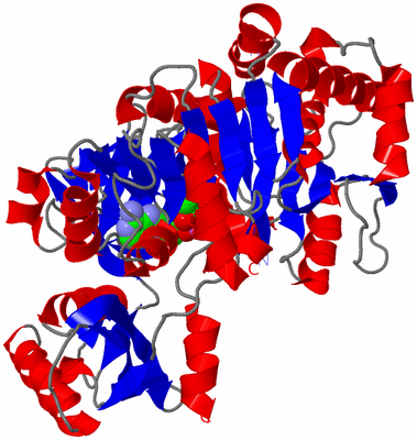 Image Asym./Biol. Unit