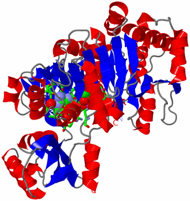 Image Asym./Biol. Unit - sites