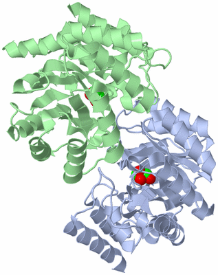 Image Asym./Biol. Unit