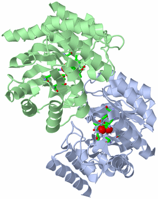 Image Asym./Biol. Unit - sites