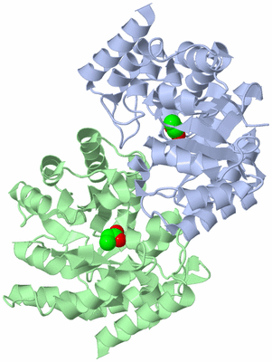 Image Asym./Biol. Unit