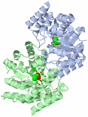 Image Asym./Biol. Unit - sites