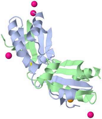 Image Asym./Biol. Unit