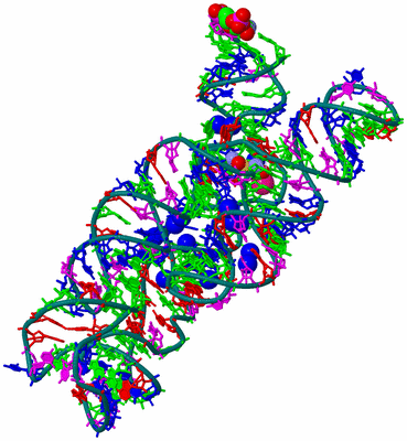 Image Asym./Biol. Unit - sites