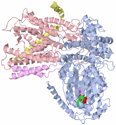 Image Biological Unit 1