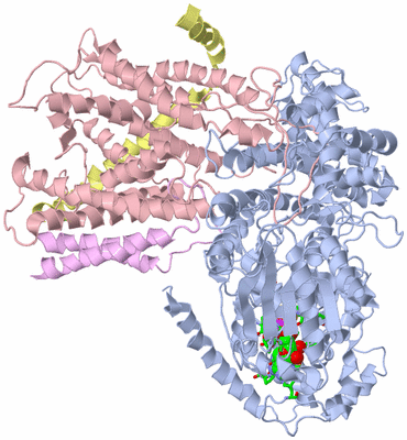 Image Biol. Unit 1 - sites