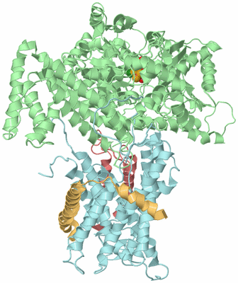 Image Biological Unit 2