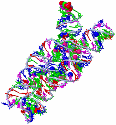 Image Asym./Biol. Unit