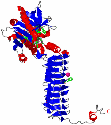 Image Asym. Unit - sites