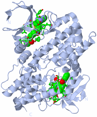 Image Biol. Unit 1 - sites