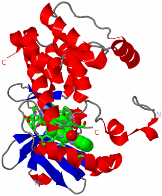 Image Asym. Unit - sites