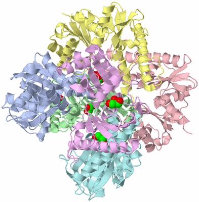 Image Biological Unit 2