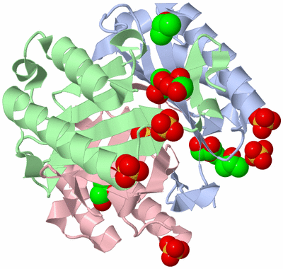 Image Asym./Biol. Unit