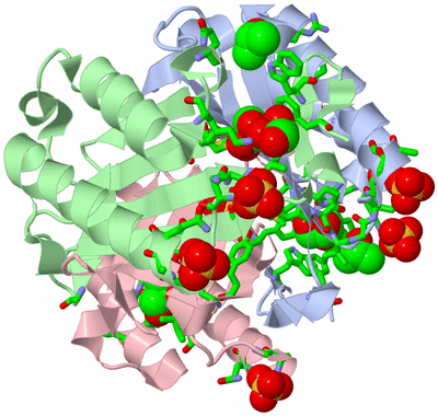 Image Asym./Biol. Unit - sites