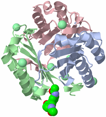 Image Biological Unit 1