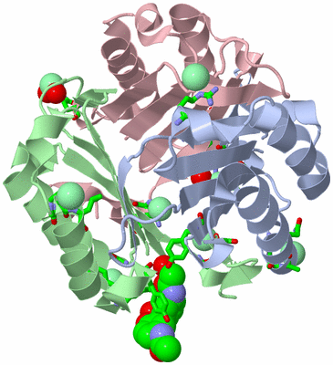 Image Biol. Unit 1 - sites