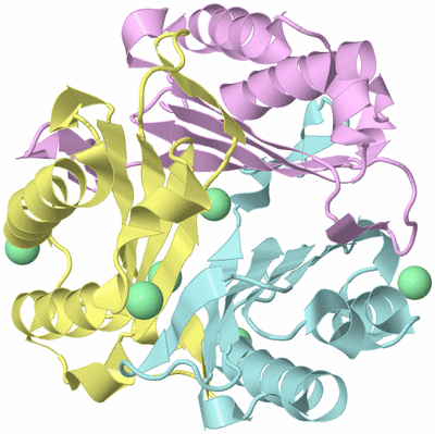 Image Biological Unit 2