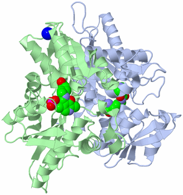 Image Asym./Biol. Unit