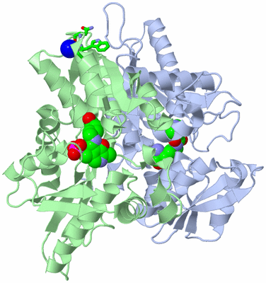 Image Asym./Biol. Unit - sites