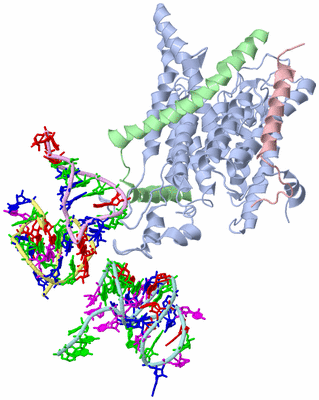 Image Asym./Biol. Unit