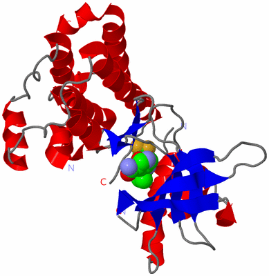 Image Asym./Biol. Unit