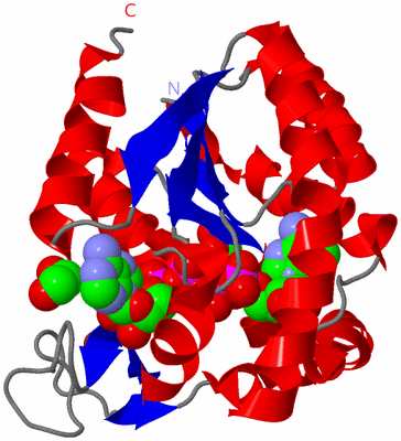 Image Asym./Biol. Unit