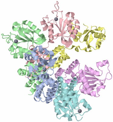 Image Asym./Biol. Unit