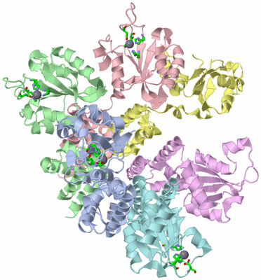 Image Asym./Biol. Unit - sites