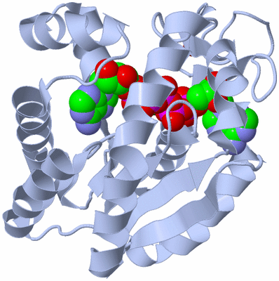 Image Biological Unit 1