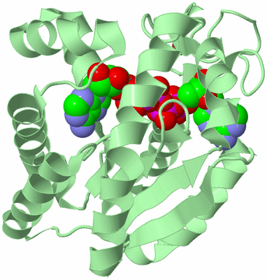 Image Biological Unit 2