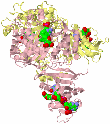 Image Biological Unit 1