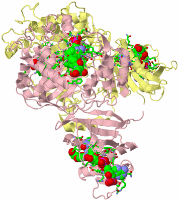 Image Biol. Unit 1 - sites