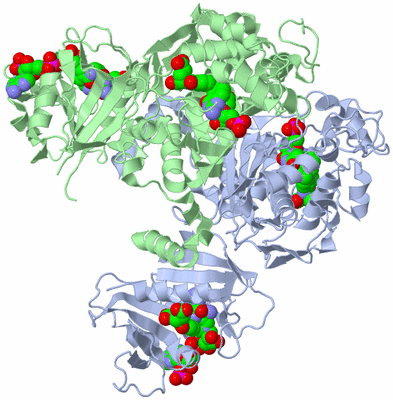 Image Biological Unit 2