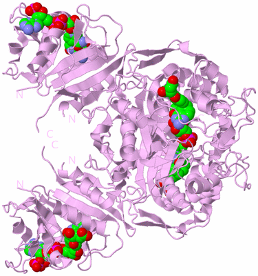 Image Biological Unit 3