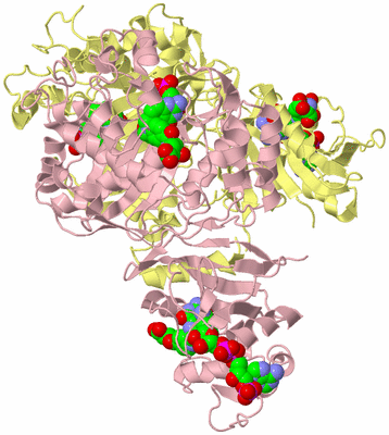 Image Biological Unit 1