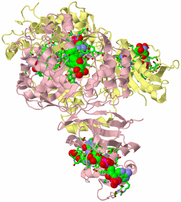 Image Biol. Unit 1 - sites