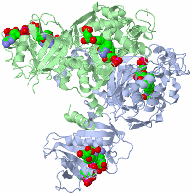 Image Biological Unit 2