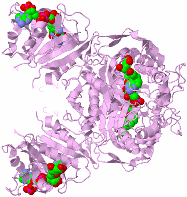 Image Biological Unit 3