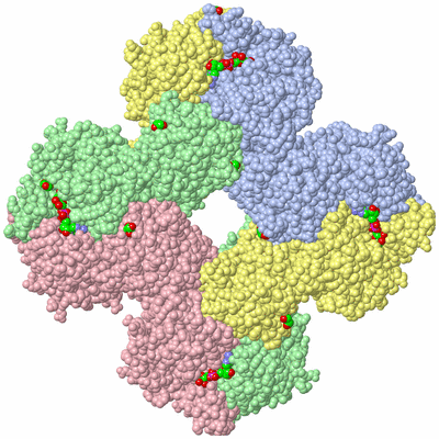 Image Biological Unit 1